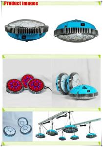 Wholesale UFO led grow light 140 Watts for planting from china suppliers