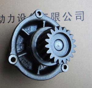 Wholesale Italy IVECO diesel engine parts，Iveco generator accessories,water pump for Iveco ,500350785 from china suppliers