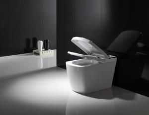 Wholesale Electric Bathroom One Piece Toilet , Smart Bidet Toilet Female Washing from china suppliers