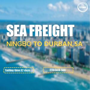 Wholesale International Sea Freight From Ningbo To Durban South Africa from china suppliers