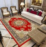 Non Slip And Wearproof Living Room Floor Carpets Household Bedroom Sofa Floor