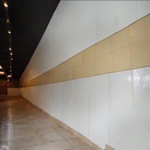 Wholesale Elegant Sophisticated Vitreous Enamel Panel for Luxury Interiors from china suppliers