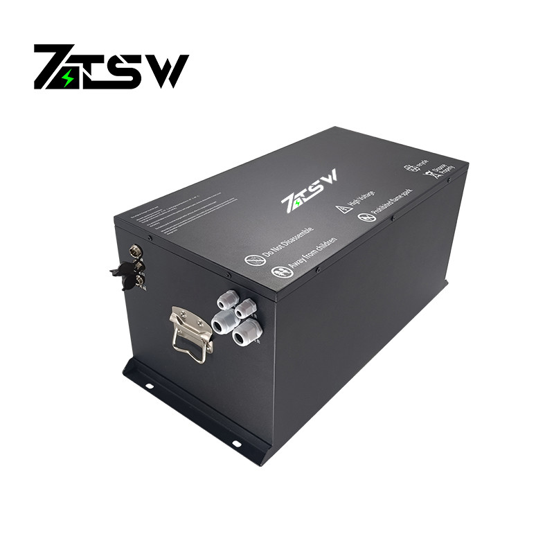 Lithium Ion 48V 100AH LiFePO4 Golf Cart Battery Ultra High Battery Life