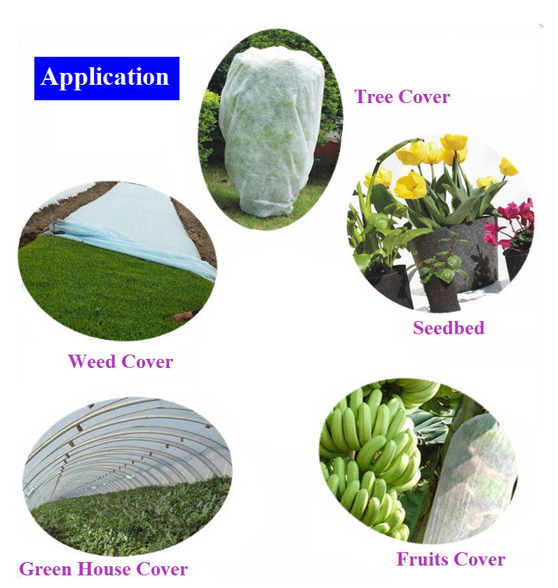 PP Spun bonded & Nonwoven Fabric Agriculture cover with UV