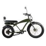 Experience the Freedom of Off-road Riding with 500W Rear Motor Vintage Electric
