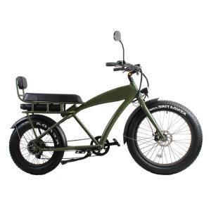 Wholesale DOMANCA Standard Fat Tire Electric Bike with 2 Seat Lithium Battery Power Supply from china suppliers