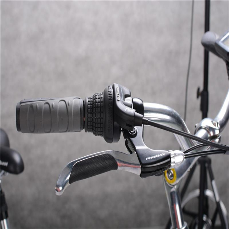200 Watt 12 Inch Electric Bike Portable Battery 300 Lb Weight Limit 30 Km/H