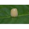 Buy cheap Dental Design Lab Full Ceramic ISO13485 Zirconia Dental Crown For Anterior Teeth from wholesalers