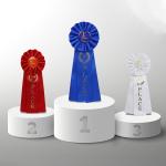 White Blue Pre Made Satin Bows Medal Satin Bows For Crafts