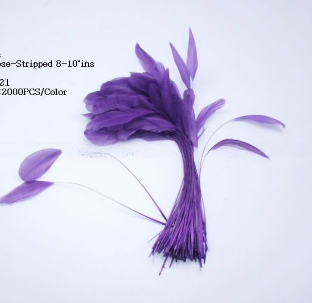 8-10 Inch Teardrop Stripped Cock Coque Feather For Father'S Day Purple Green Pink