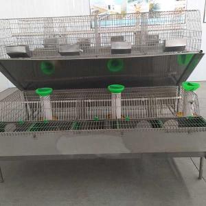 Wholesale 2400 * 2000 * 1500mm Farm Rabbit Cage Q235 Steel Wire / Plastic Material from china suppliers