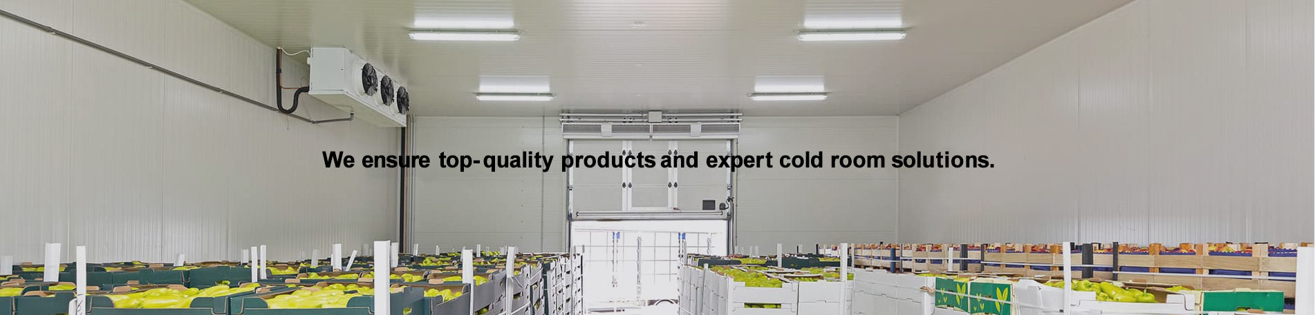 GB Standard Steel Workshop Cold Storage Room 50Ton for Fish Energy-saving Container