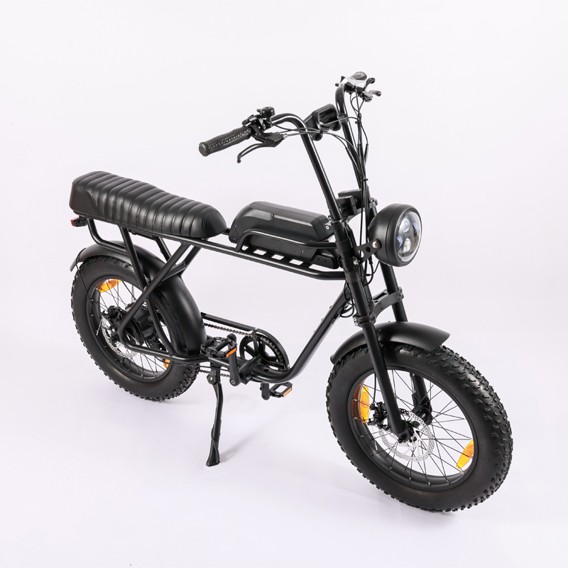 Retro Electric Bike with 20" Wheel Size and High Selling 48V20Ah Lithium Battery Beach Bikes Cruisers