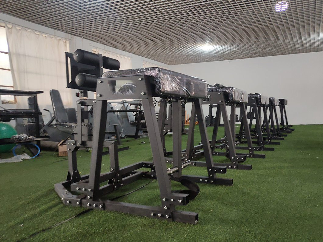 Factory Direct Sales Back Hyperextension GHD Glute Ham Developer Roman Chair