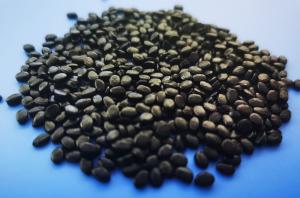 Wholesale Extrusion Molding Carbon Black Masterbatch LDPE Carrier Non Toxic from china suppliers