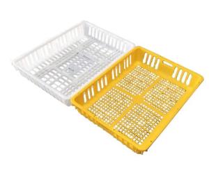 Wholesale Live Poultry Carrier Crate Broiler Plastic Cage 7-10 Chicken Capacity from china suppliers