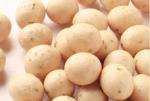 New Arrival Product Seaweed Wasabi Peanuts Coated Roasted Snacks