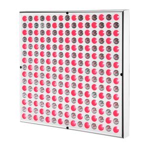 Wholesale LED Photon Therapy Panel Light 850nm Near Infrared Body Skin Care Pain Relief from china suppliers
