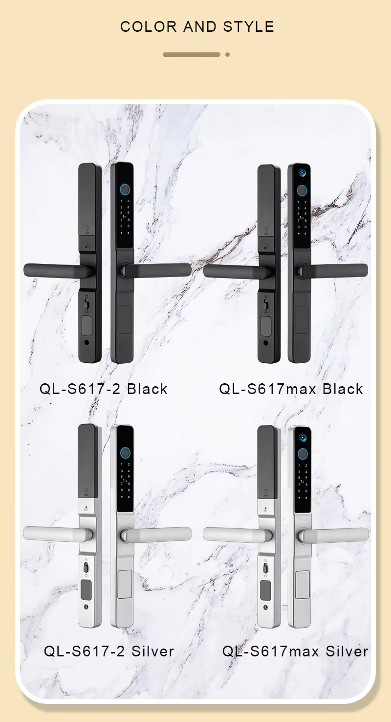 Qleung S617-2 Waterproof Intelligent Tuya Wifi Remote Control Smart Home Door Lock