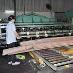American Natural Walnut Wood Veneer Quarter Cut Straight Figured For High Class