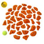 Economical Adult Training Bouldering Wall Rock Climbing Holds for Climber