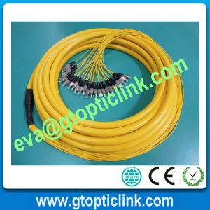 Wholesale FC 12cores Fiber Optic Pigtail/Bundle Multi-fiber Pigtail from china suppliers