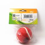 animal dog tennis ball