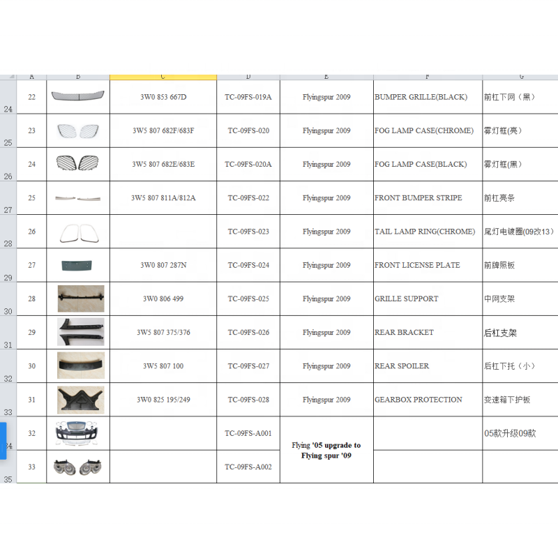 FLYING SPUR 3W Radiator Grille Number Plate Rack Cover For Bentley Continental 2013