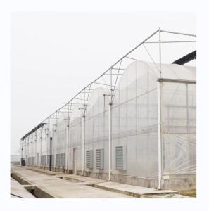 Wholesale PE Multi Span Greenhouse for Tomato Growing and Agricultural in Tropical Climate from china suppliers