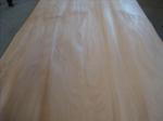 Rotary Cut Agathis Veneer Sheet, Face/Back Grade