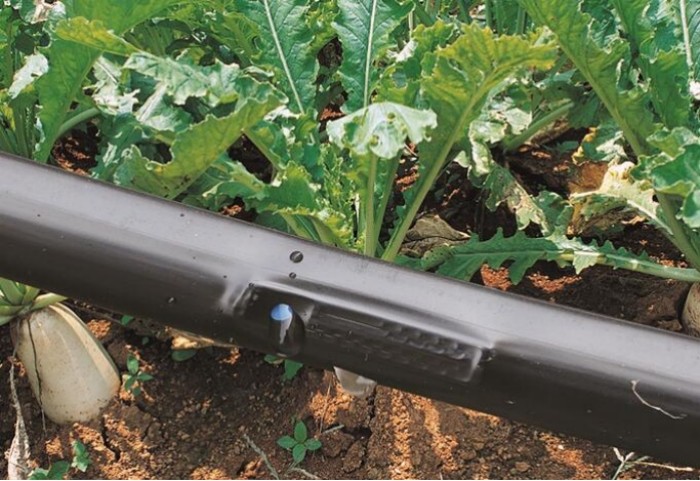 Watering&irrigation System Farm Garden Agriculture diameter 16mm Pipe Hose Drip Irrigation Tape drip tape