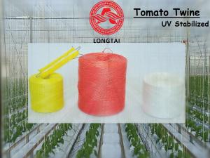 Wholesale High Tensile UV Treated PP Twine For Agriculture And Packaging from china suppliers