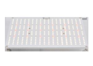 Wholesale 3500K AC85V Horticulture LED Grow Lights from china suppliers
