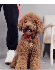 Wholesale Adjustable Rechargeable Nylon Pets Safety Pet Dog Collar necklace with LED flashing light from china suppliers