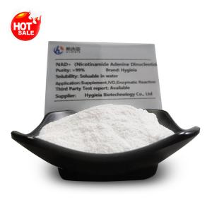 Wholesale Professional 99% Purity NAD Nicotinamide Adenine Dinucleotide Powder CAS 53-84-9 from china suppliers