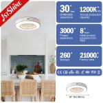 Diameter 20in 15W Motor LED Ceiling Box Fan For Bedroom