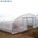 200 Micron PE Film Galvanized Tunnel Plastic Greenhouse For Growing