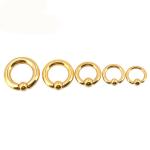 BODY PUNK Piercing Earring Ring Ear Stretcher Expander Weights BCR Gold Captive