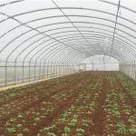Mini Greenhouse Galvanized Garden Greenhouses for Commercial Vegetable Growing
