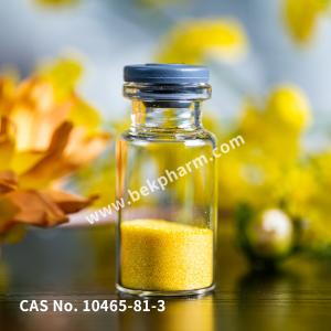 Wholesale CAS 10465-81-3 Azo Compound C12H20N4O2 High Purity from china suppliers