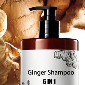 Wholesale Organic Ginger Anti Hair Loss Shampoo for Men and Women Unisex Adults Vegan Hair Care from china suppliers