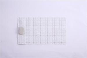 Wholesale Sustainable 100*40cm Bathroom Waterproof Mat Mildew Proof Bath Mat from china suppliers