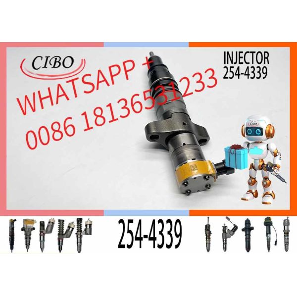 Genuine C9 Common Rail Injector 254-4339 10R7222 387-9433 382-2574 387-9433 254-4339 For 330D 336D
