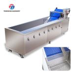 240KG 380V Automatic stainless steel fruit washing machine fruit cleaning