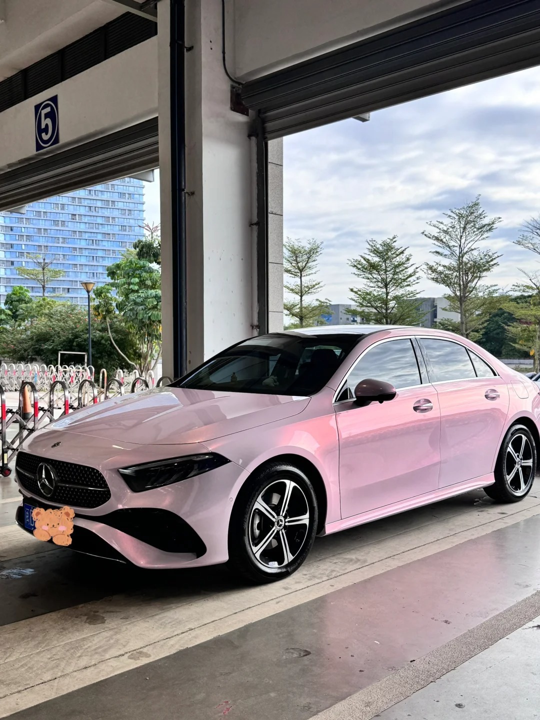 Color Paint Protection Film