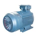 PMSM Heavy Duty Low Voltage Induction Motor 45kw 55kw 75kw 110kw