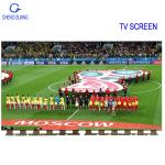 ISO 49 Inch Tv Screen TV Screen Replacement LC490EGJ-SKM4 2109A