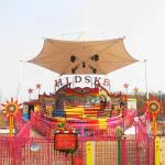 Crazy Disco Amusement Park Equipment 20 - 40 Riders With 380v Voltage