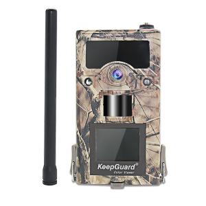 Wholesale Surveillance Deer Trail Cameras / Infrared Wildlife Camera High Resolution from china suppliers