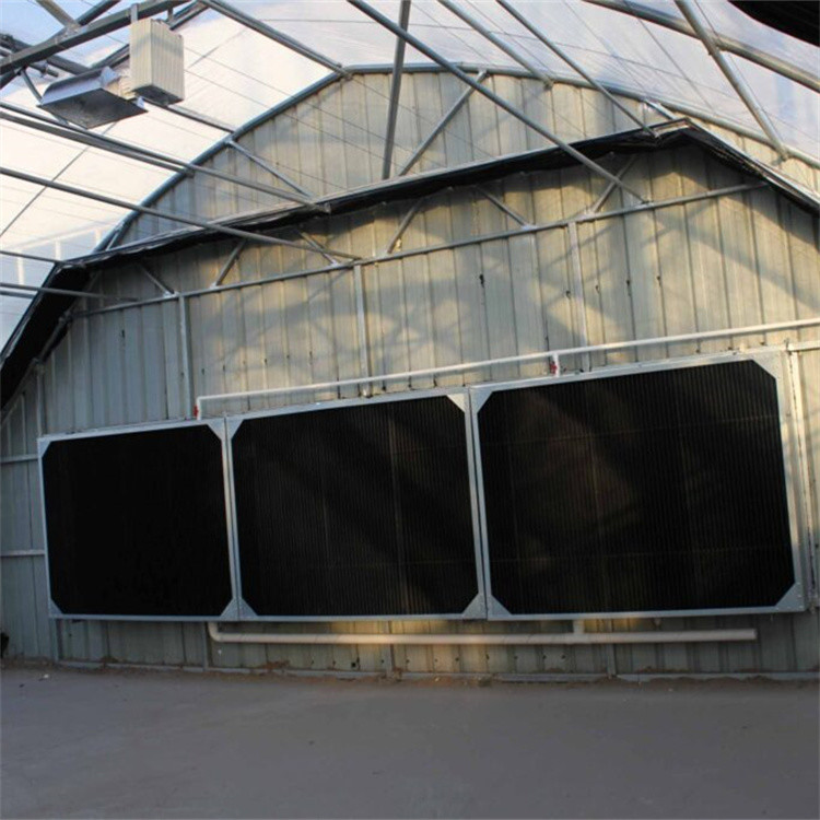 Single Span Automatic Blackout Greenhouse Small Gutter Connected